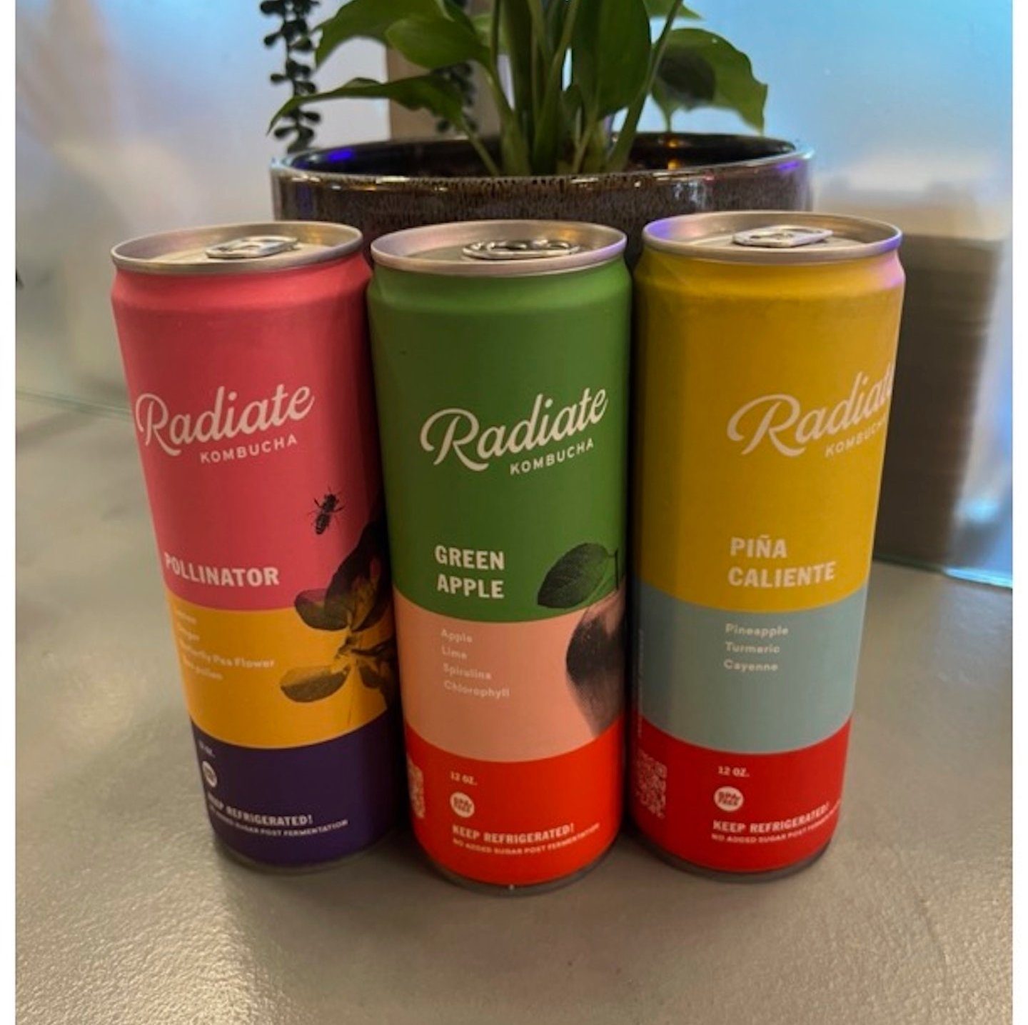 Kombucha.